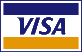 visa card
